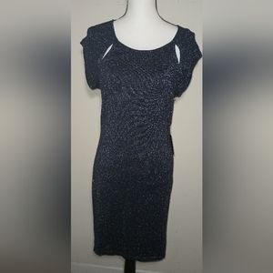 NWT Express Designer Shimmer Bodycon Stretch Dress (L)